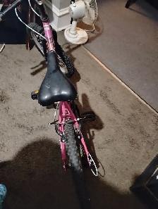 Kids mountain bike