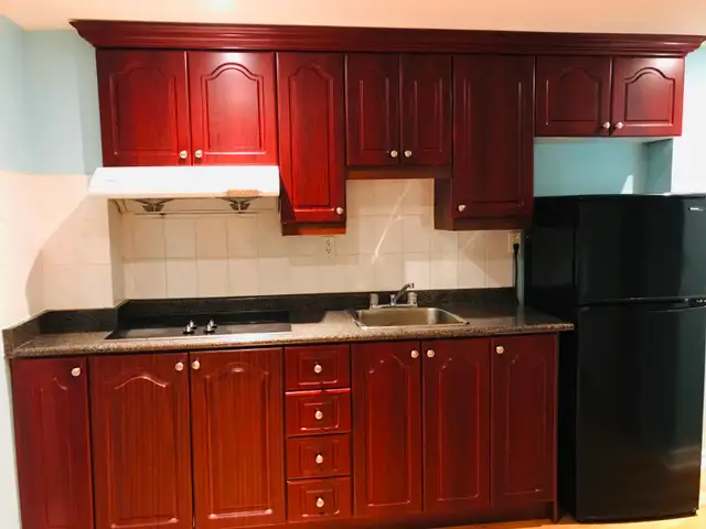 1 Bedroom Basement for Rent in North Ajax! - Photo 4