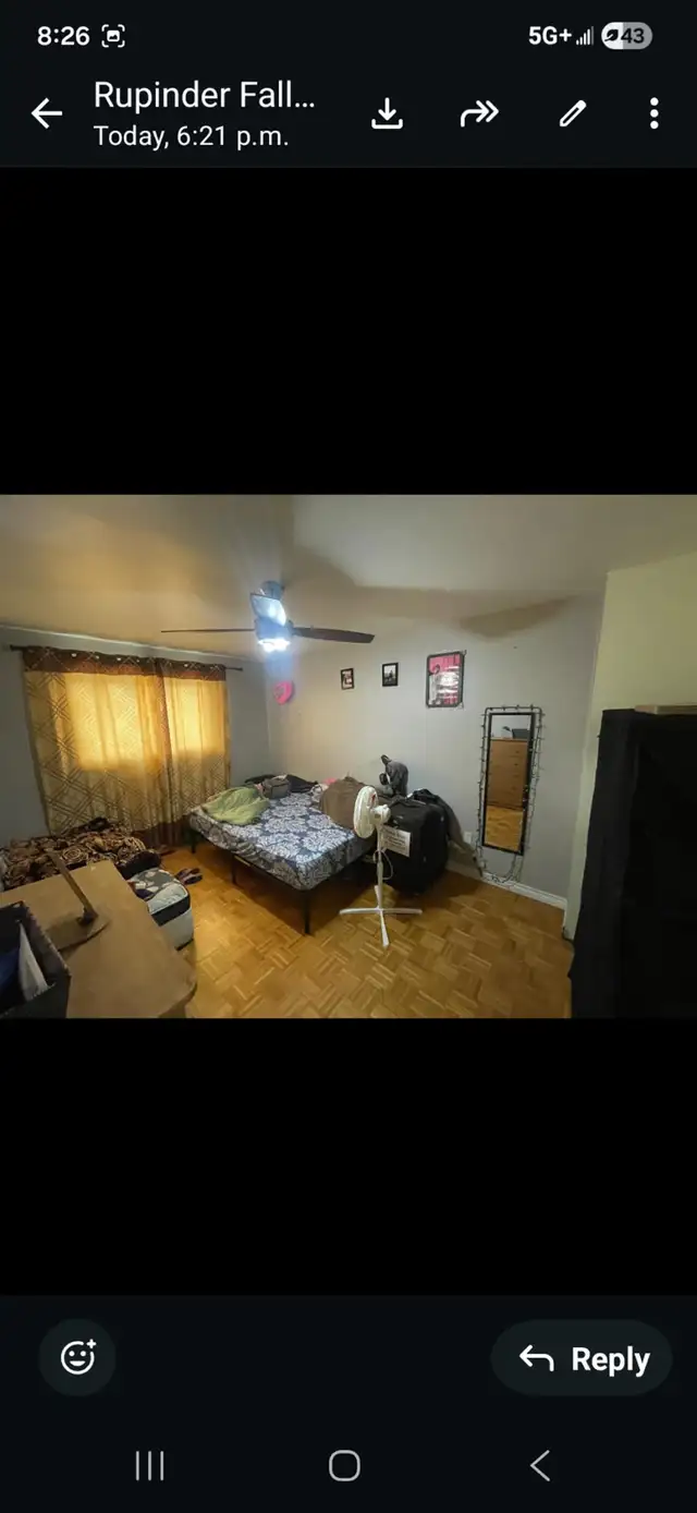 4 Bedrooms House for rent - Photo 4