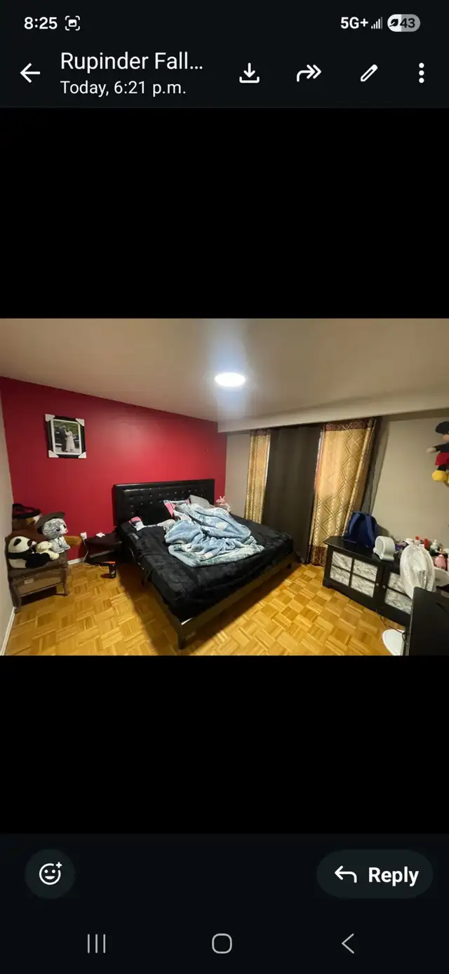 4 Bedrooms House for rent - Photo 6