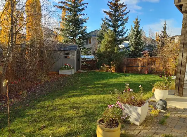 Walkout Basement for Rent (Rocky Ridge NW) - Photo 6