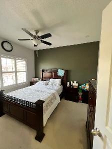 Home painter