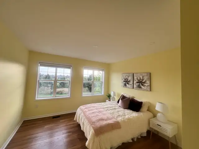 Home painter - Photo 3