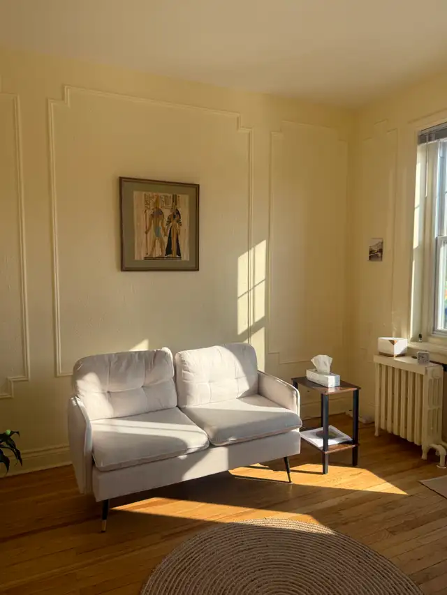 NEW COUCHES FOR SALE - Photo 2