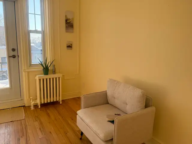 NEW COUCHES FOR SALE - Photo 3