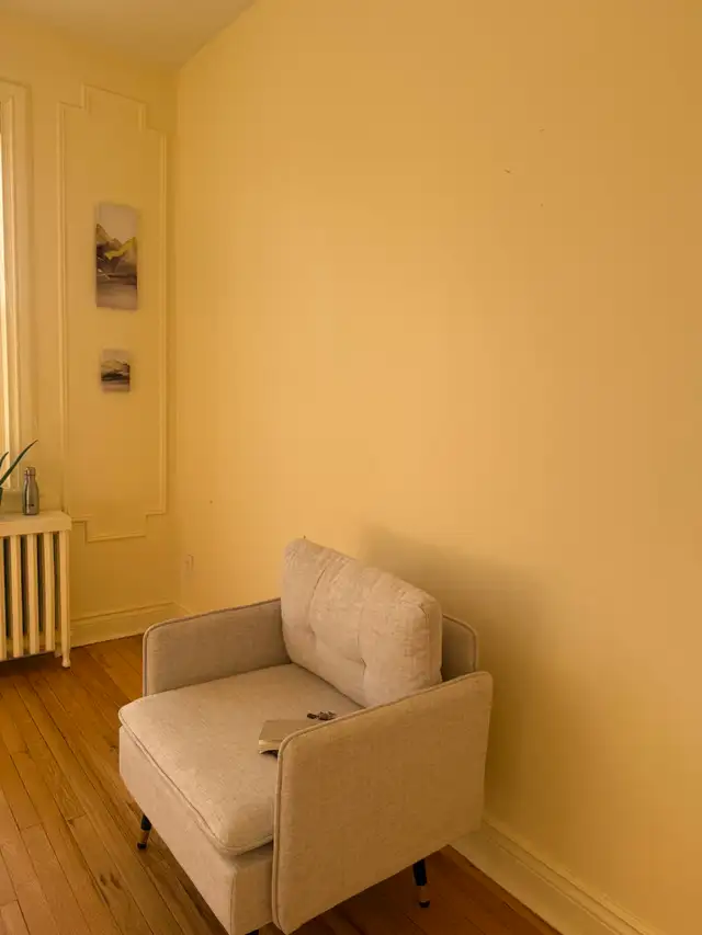 NEW COUCHES FOR SALE - Photo 4