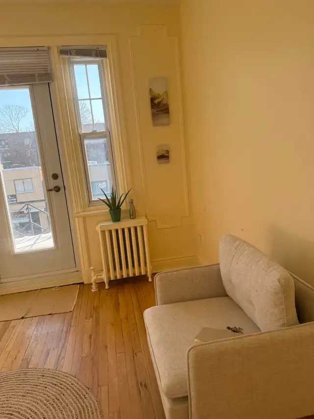 NEW COUCHES FOR SALE - Photo 5
