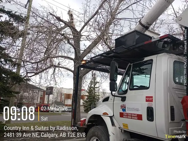 Looking for workers