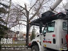 Looking for workers