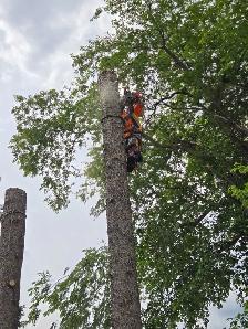 Looking for workers - Photo 2