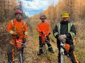 Looking for workers - Photo 4