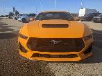 2026 Ford Mustang GT Fastback 6 SPEED MANUAL - Photo 2