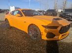 2026 Ford Mustang GT Fastback 6 SPEED MANUAL - Photo 3