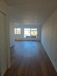 Renovated 4.5 Apartment for rent in Ville Saint-Laurent