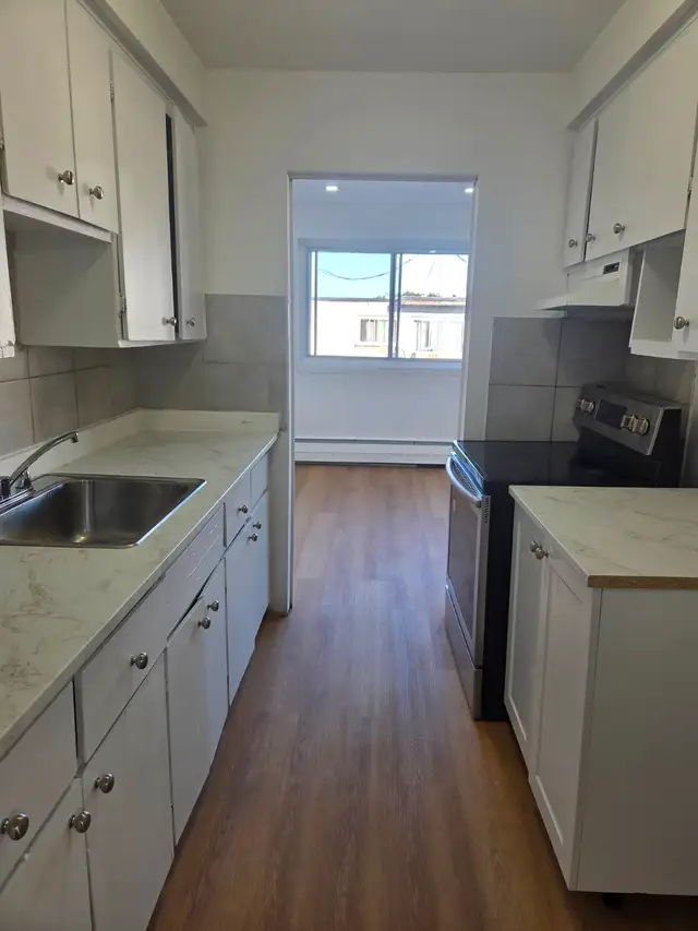 Renovated 4.5 Apartment for rent in Ville Saint-Laurent - Photo 5
