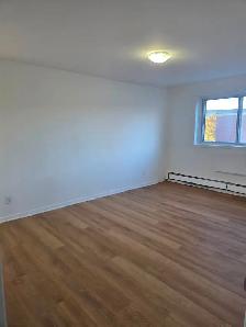 Renovated 4.5 Apartment for rent in Ville Saint-Laurent - Photo 6