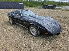 1976 Chevrolette Corvette Stingray - Photo 2