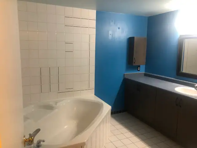 Amassing Large Room with Ensuite Bathroom - Downtown Toronto - Photo 3