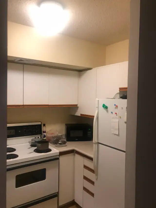 Amassing Large Room with Ensuite Bathroom - Downtown Toronto - Photo 4