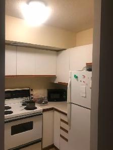 Amassing Large Room with Ensuite Bathroom - Downtown Toronto - Photo 4