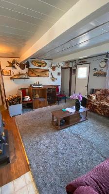 Cabin at Ditch Lake for Sale, 2 parcels of land - Photo 6