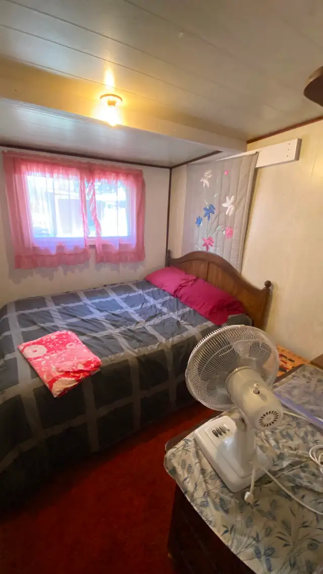 Cabin at Ditch Lake for Sale, 2 parcels of land - Photo 9