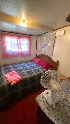 Cabin at Ditch Lake for Sale, 2 parcels of land - Photo 9