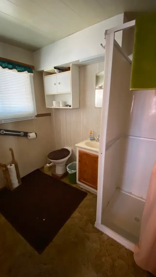 Cabin at Ditch Lake for Sale, 2 parcels of land - Photo 10
