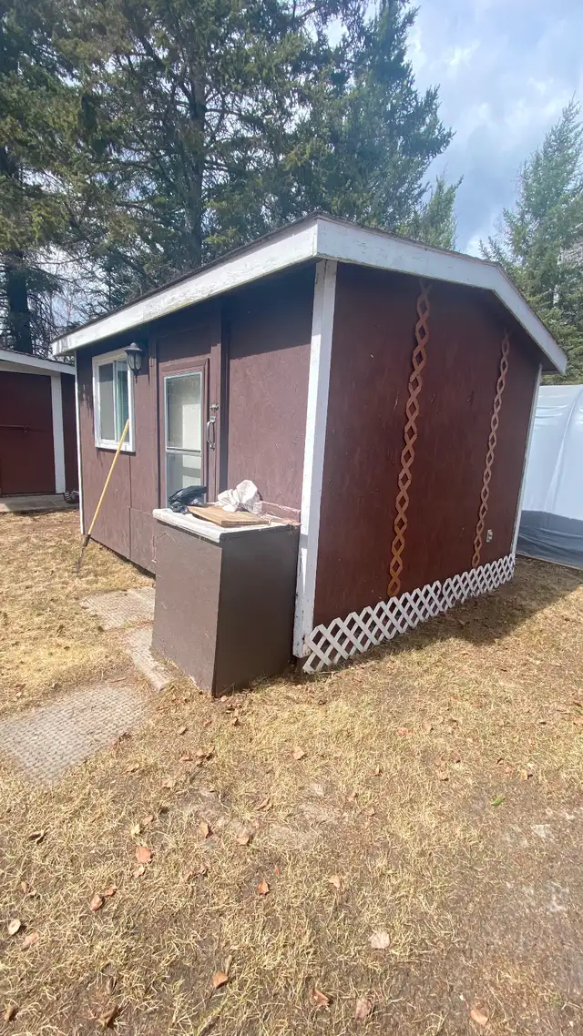 Cabin at Ditch Lake for Sale, 2 parcels of land - Photo 11