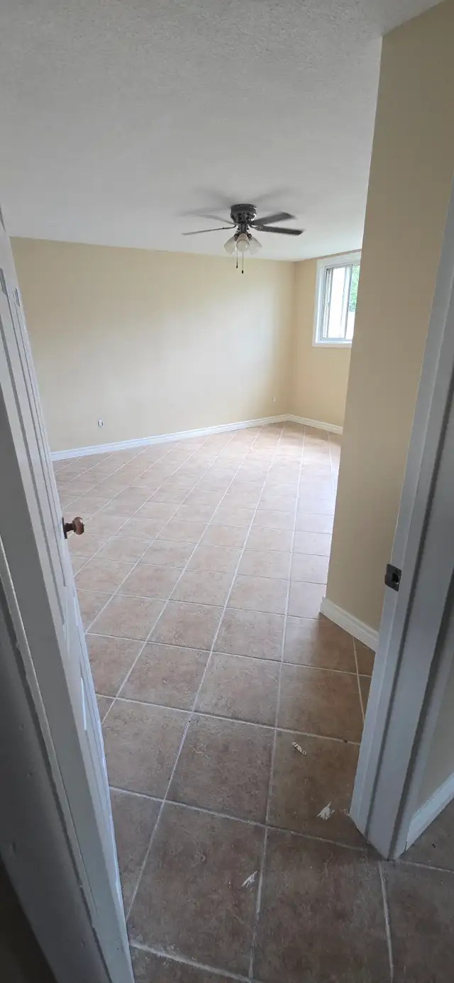 Large 3 bedroom apt for rent - Photo 4