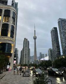 RideShare/Carpool From Windsor to Toronto Starting @ $50 & up - Photo 2