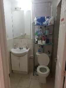 Walkout basement apartment for rent, best area of Scarborough - Photo 10