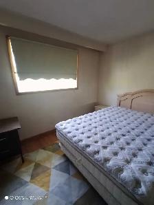 Premium bedroom - Photo 7