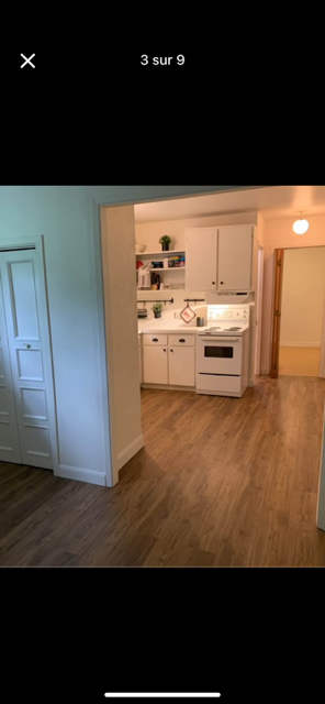 3 1/2 Quartier Moncalm 975$