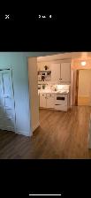 3 1/2 Quartier Moncalm 975$