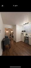3 1/2 Quartier Moncalm 975$ - Photo 3