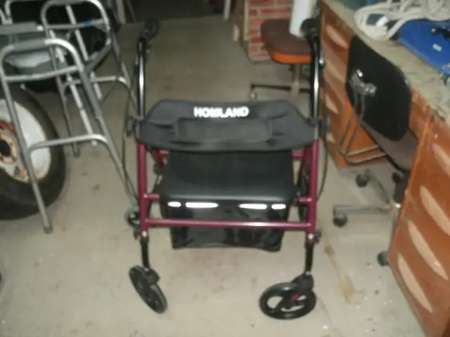 HOMLAND WALKER