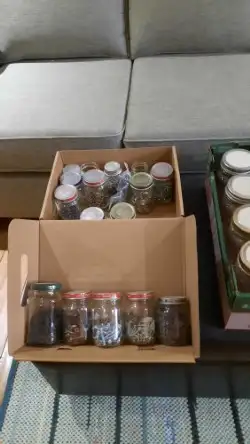 Canning jars - Photo 2