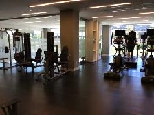 Amazing Downtown Sought-after Condo Studio available Mid June - Photo 5