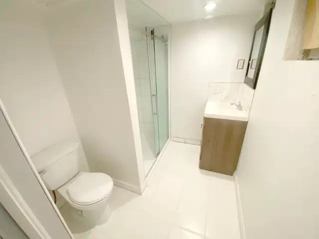 Hamilton 1 Den BSMT Near McMaster University For Rent - Photo 4