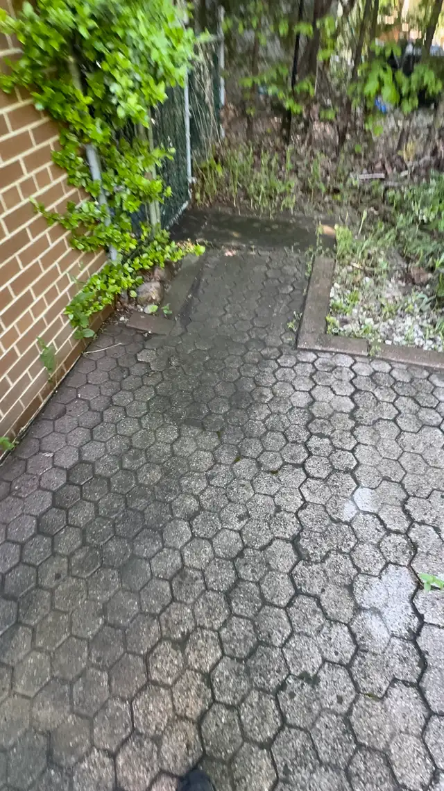 powerwashing