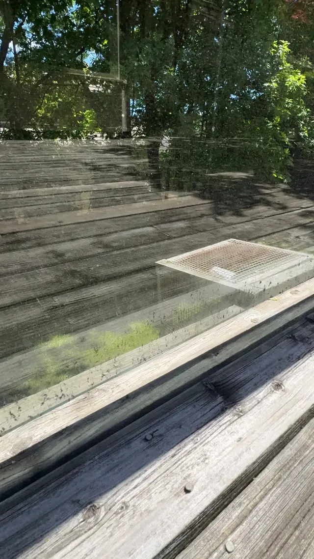 powerwashing - Photo 3