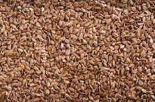 BAGGED FLAX FOR SALE
