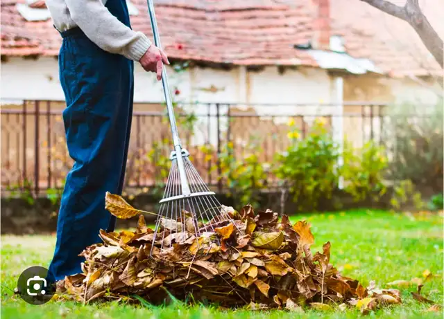 Wanted Yard, Outdoor, Garage Cleaning Helper