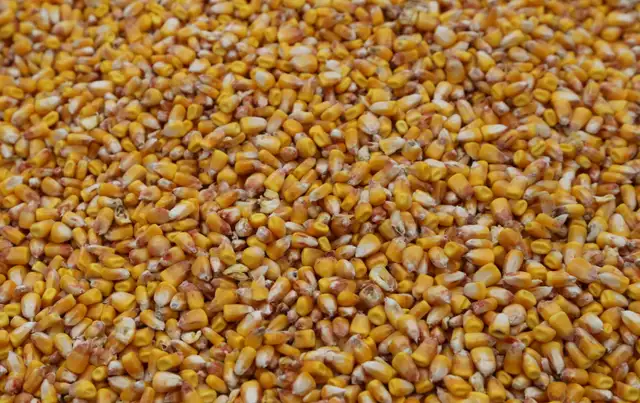 BAGGED DEER FEED FOR SALE