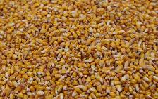 BAGGED DEER FEED FOR SALE