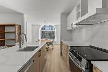 HUGE FULLY RENOVATED CONDOS TO RENT. 2,3,4 BEDROOMS PET FRIENDLY - Photo 2