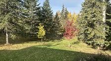 ROOM FOR RENT - Photo 6