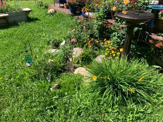 ROOM FOR RENT - Photo 15