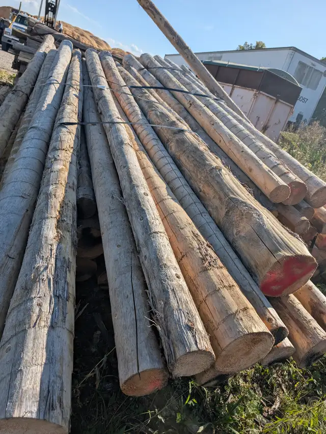 Brand new cedar posts 3-4-5-6- 8-inch. Copetown - Photo 5